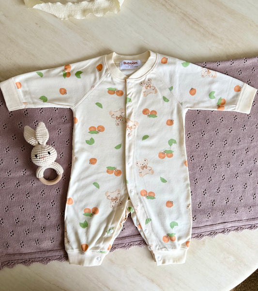 Little Citrus Teddy Romper